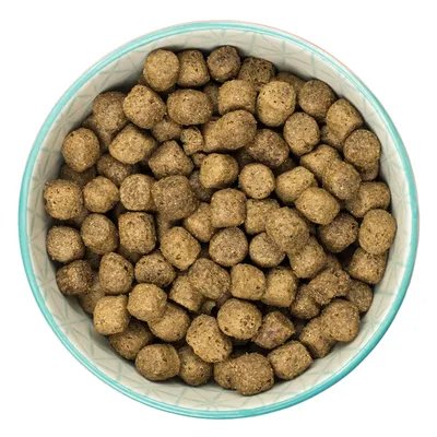 Burns Original Adult Dry Dog Food - Chicken & Brown Rice