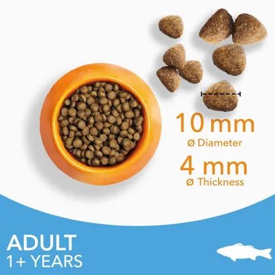 IAMS Advanced Nutrition Adult Cat with Ocean Fish1