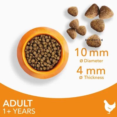 IAMS Advanced Nutrition Dry Cat Food with Chicken