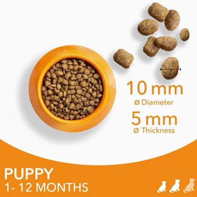 IAMS Advanced Nutrition Puppy & Junior Small & Medium Dog - Chicken