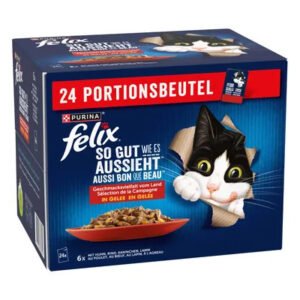 Felix As Good As It Looks in Jelly cat wet food