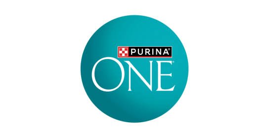 Purina ONE Dry Cat