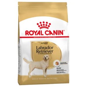 Royal Canin Labrador Retriever Adult Dry Dog Food