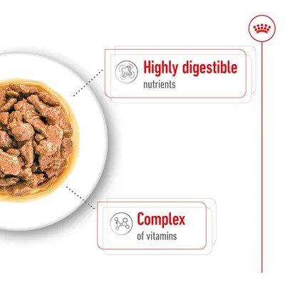 Royal Canin Mini Adult in Gravy