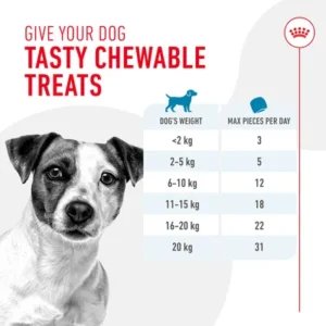 Royal Canin Training Treats - dog snacks1