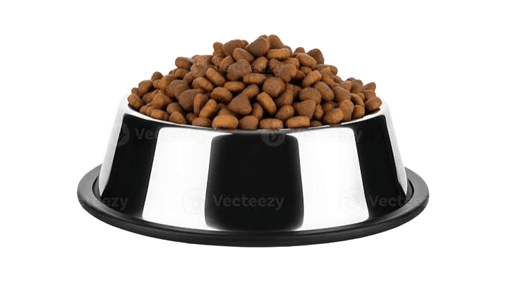 dry dog food