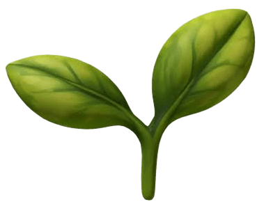 grain free