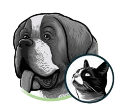 senior pet